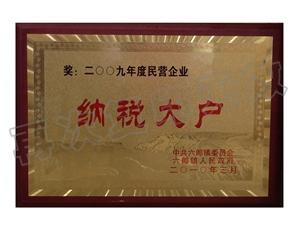 2009年納稅大戶(hù)